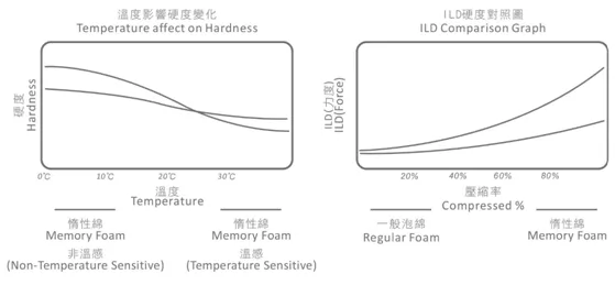 Memory Foam Memory Foam